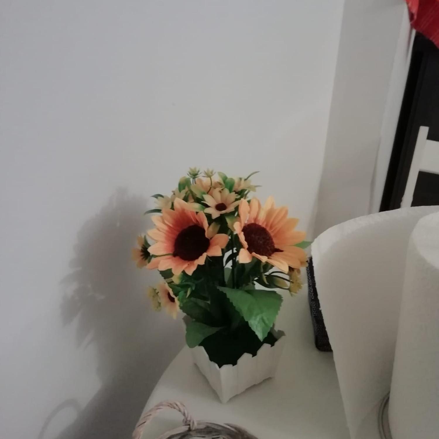 Affection Apartment Болоня Екстериор снимка